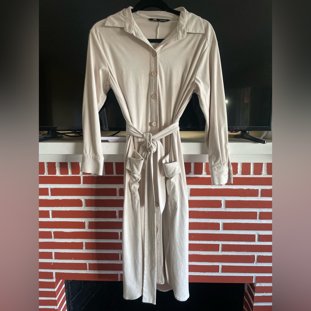 Zara dress